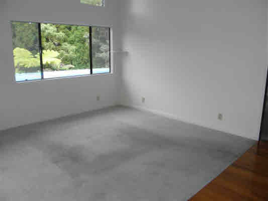 113935 A Liona Street Volcano, HI 96785 - Photo 4 of 20 Gallery Image 4