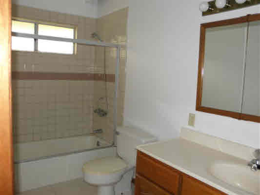113935 A Liona Street Volcano, HI 96785 - Photo 8 of 20 Gallery Image 8