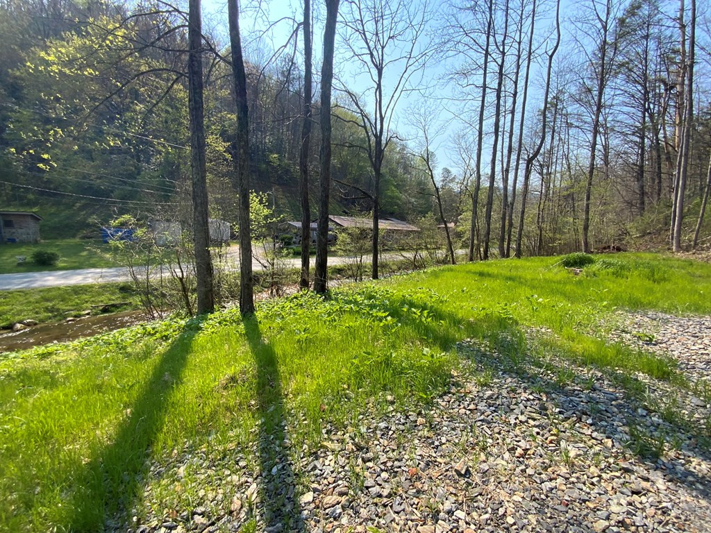1000 Hyatt Creek Road Marble, NC 28905 - Photo 4 of 15