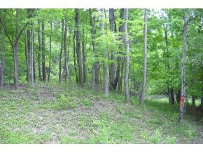 T747 Graham Hollow Road Hallstead, PA 18822 - Photo 6 of 6 Gallery Image 6