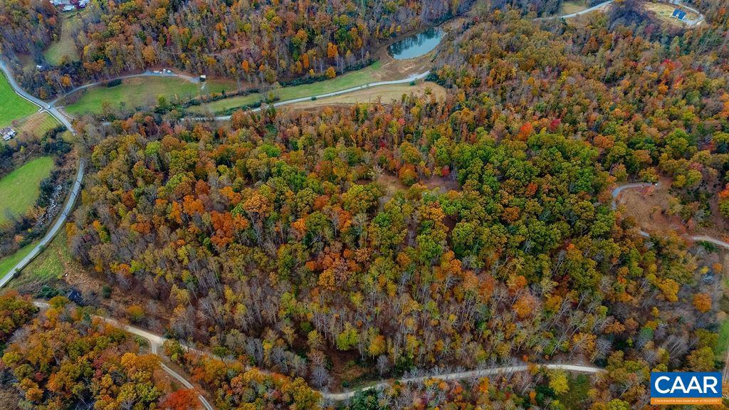 0 Adial Road, Unit 10 Faber, VA 22938 - Photo 9 of 10 Gallery Image 9