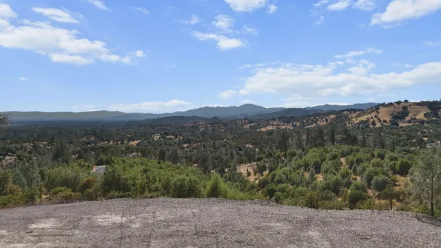 an aerial view of houses covered in trees
