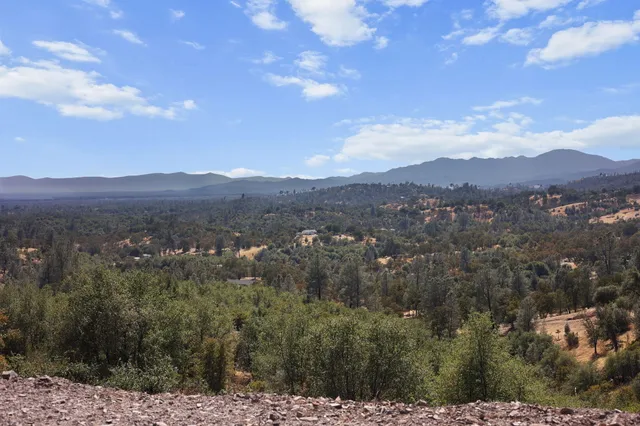 a view of a wooden wall with a tree