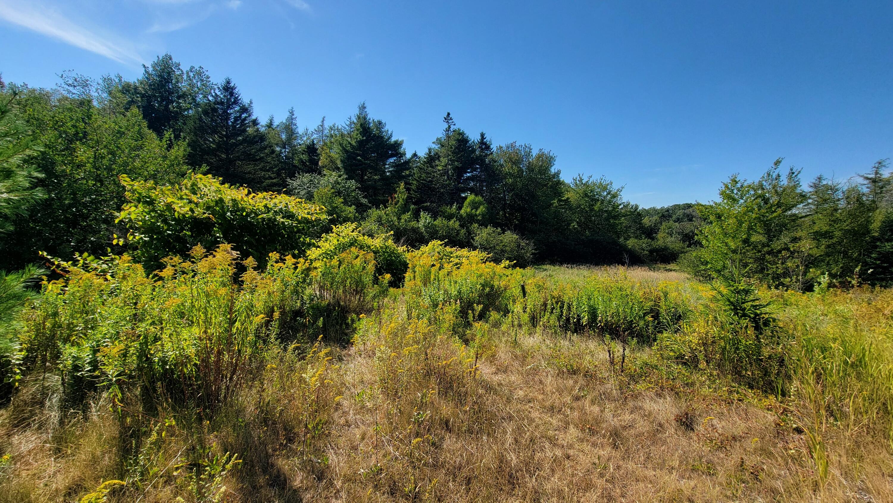 Lot 23 Bay Road Jonesboro, ME 04648 - Photo 1 of 16 20250823_152357