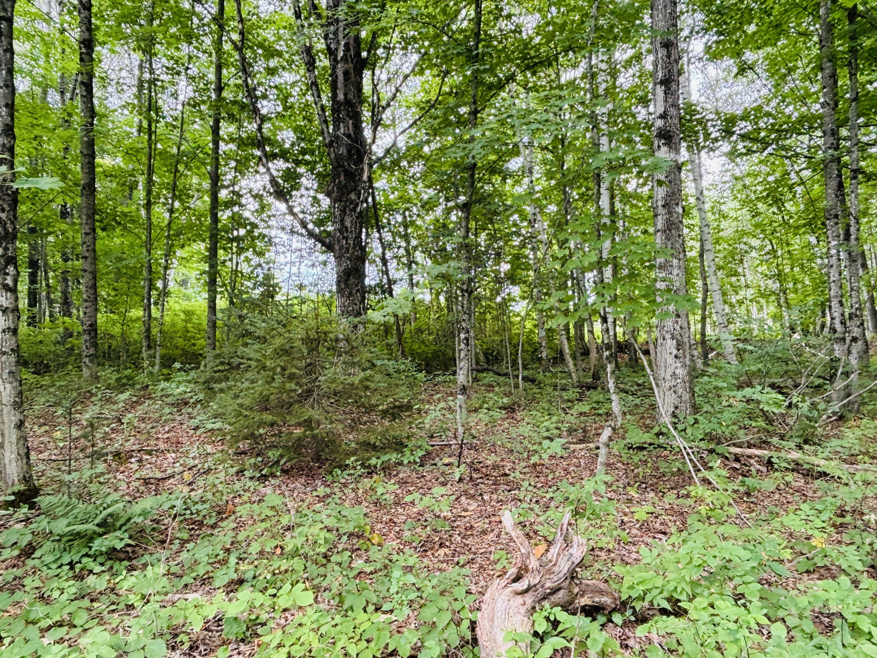 13 Lower Notch Road Garland, ME 04939 - Photo 13 of 27 IMG_0204
