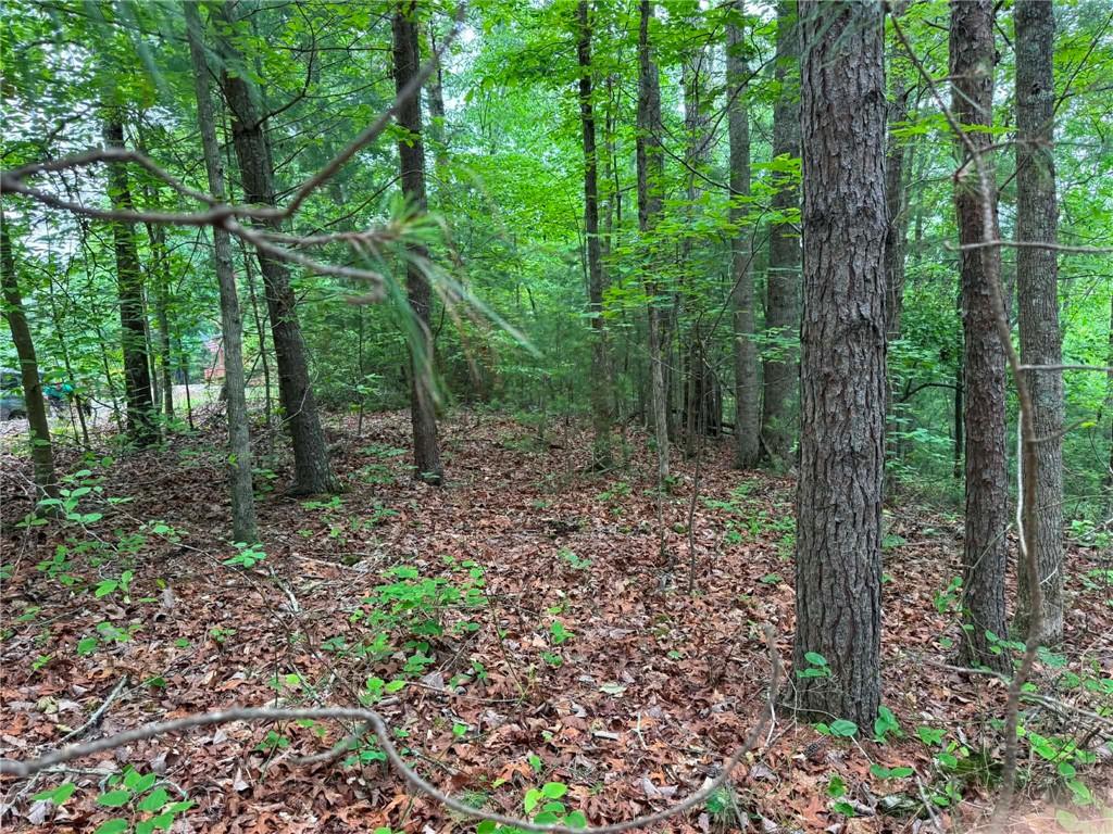 1674 A Hunter Drive Ranger, GA 30734 - Photo 3 of 25 a view of a forest that has large trees