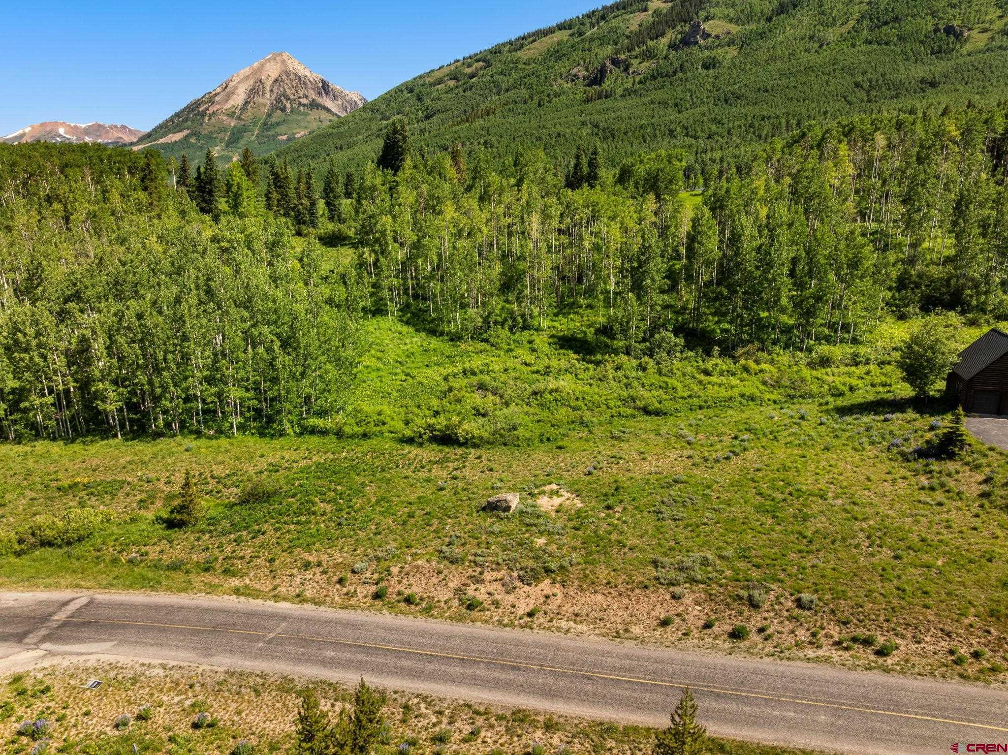555 Meadow Drive Crested Butte, CO 81224 - Photo 11 of 24 a view of a garden with an outdoor space