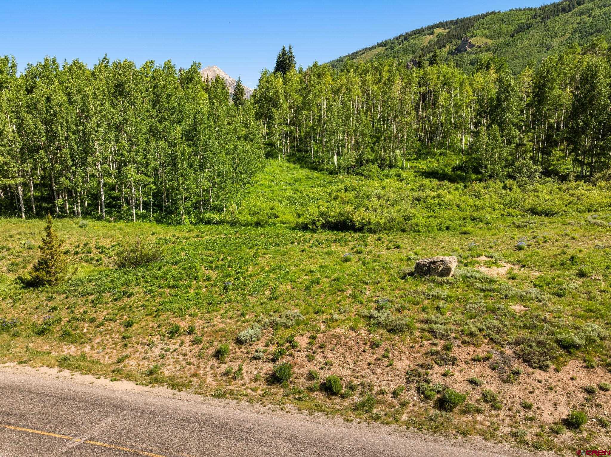 555 Meadow Drive Crested Butte, CO 81224 - Photo 12 of 24 a view of a field with an trees