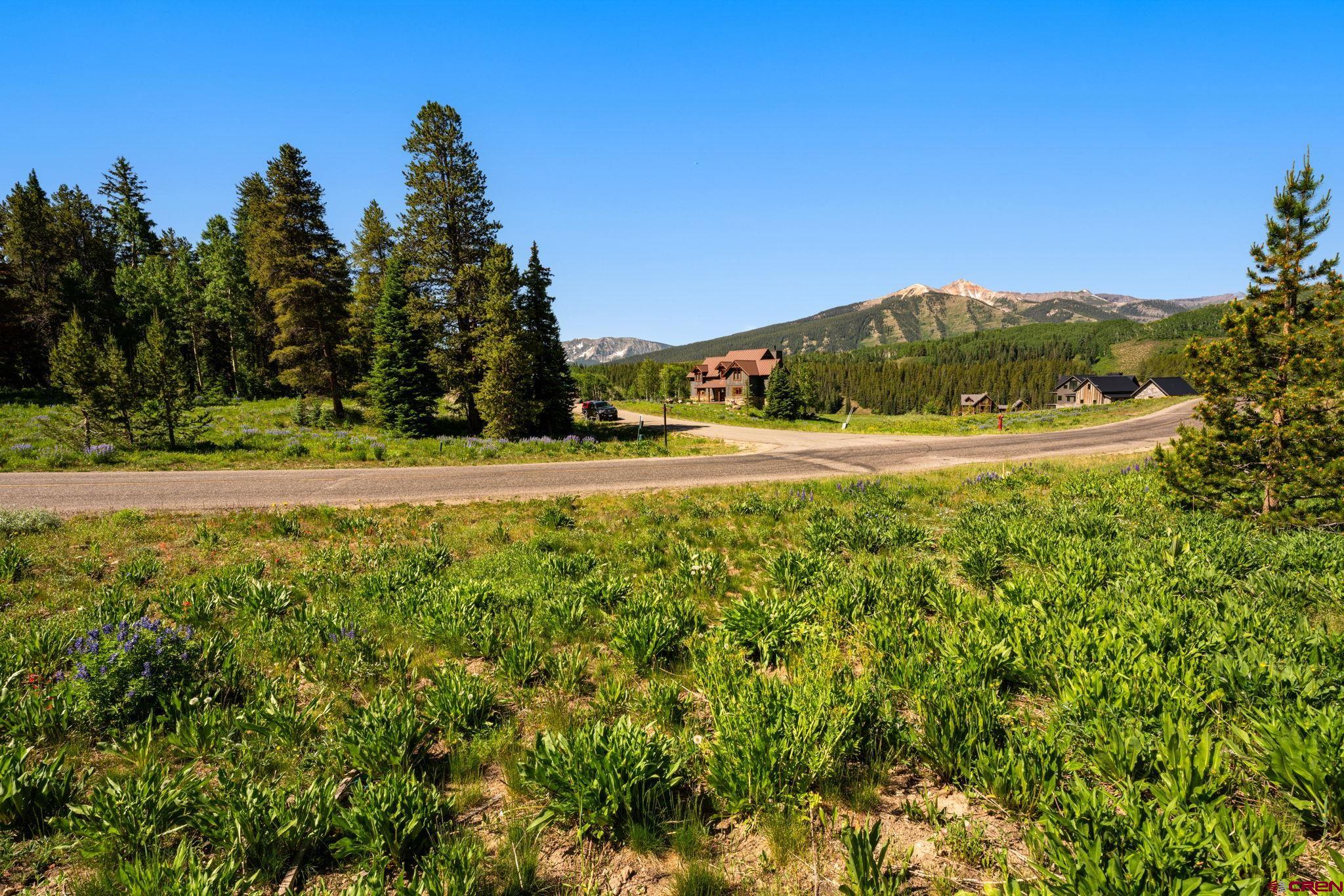 555 Meadow Drive Crested Butte, CO 81224 - Photo 18 of 24 a view of a yard with a trees