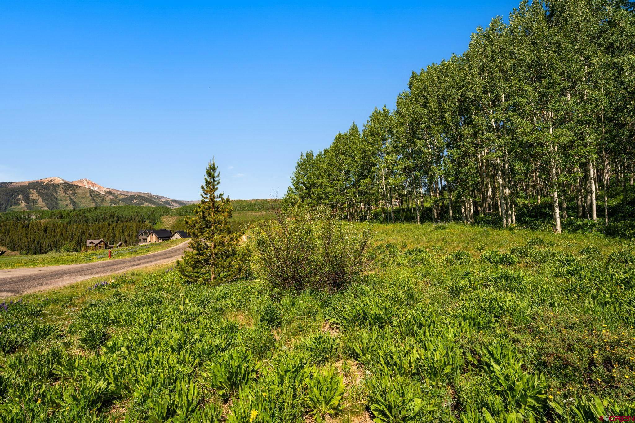 555 Meadow Drive Crested Butte, CO 81224 - Photo 19 of 24 a view of outdoor space and yard