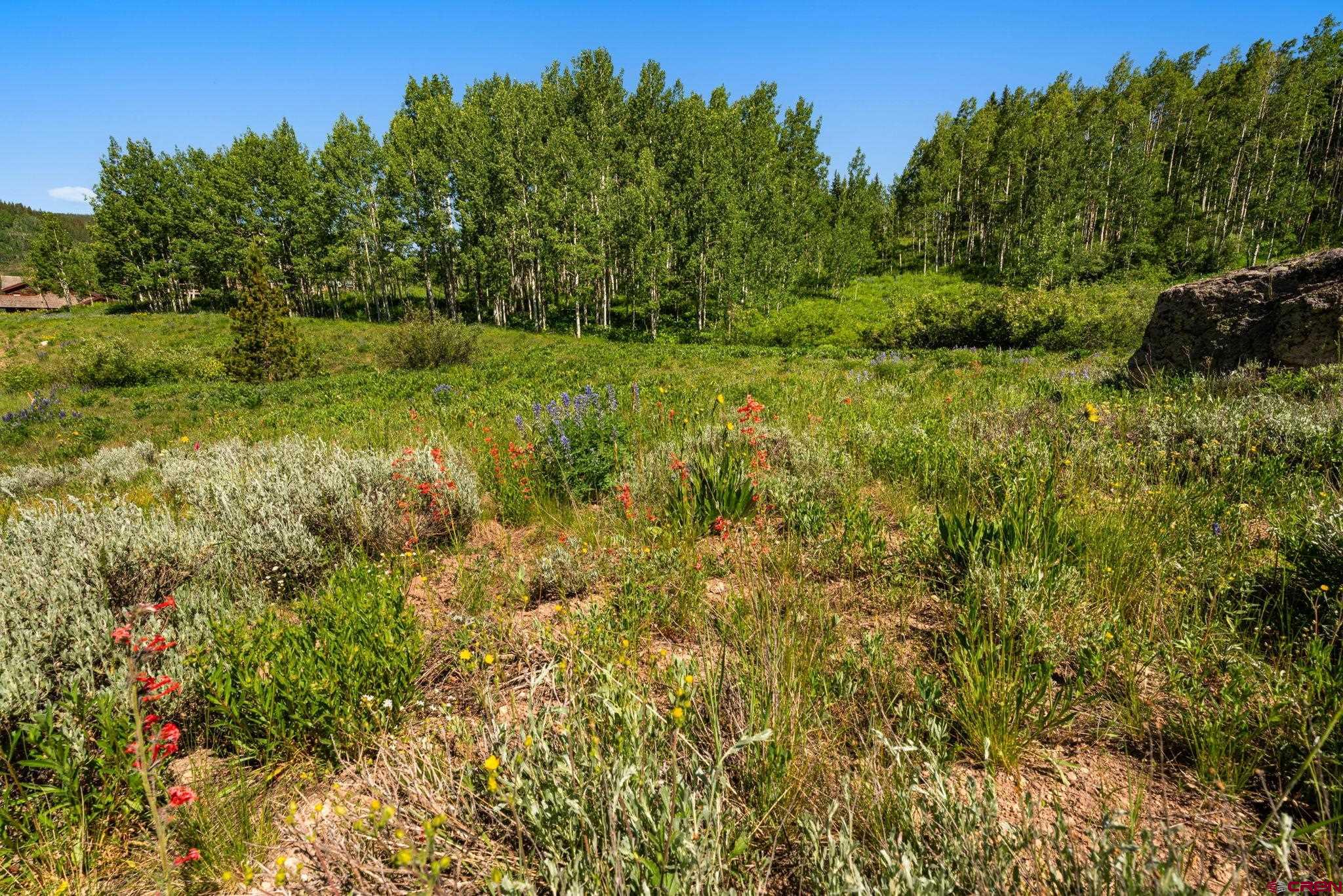 555 Meadow Drive Crested Butte, CO 81224 - Photo 20 of 24 a view of a green field with lots of bushes