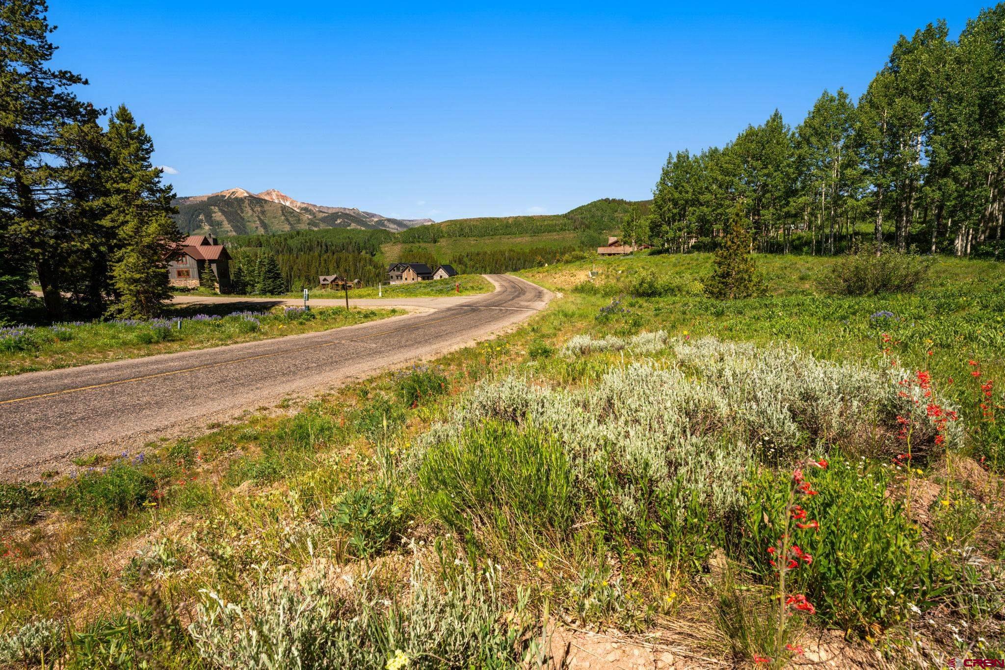 555 Meadow Drive Crested Butte, CO 81224 - Photo 21 of 24 a view of a yard with an outdoor space