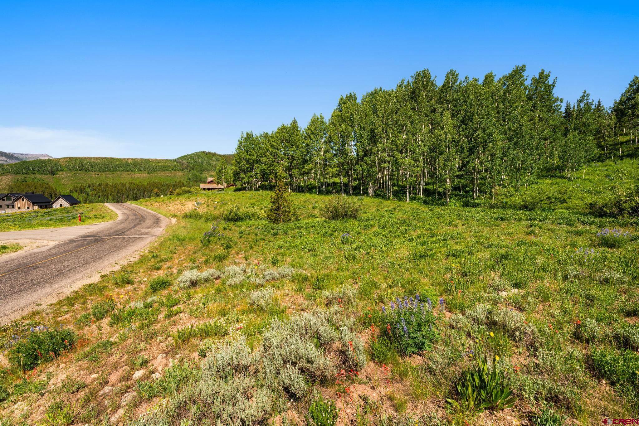 555 Meadow Drive Crested Butte, CO 81224 - Photo 22 of 24 a view of an outdoor space and a yard