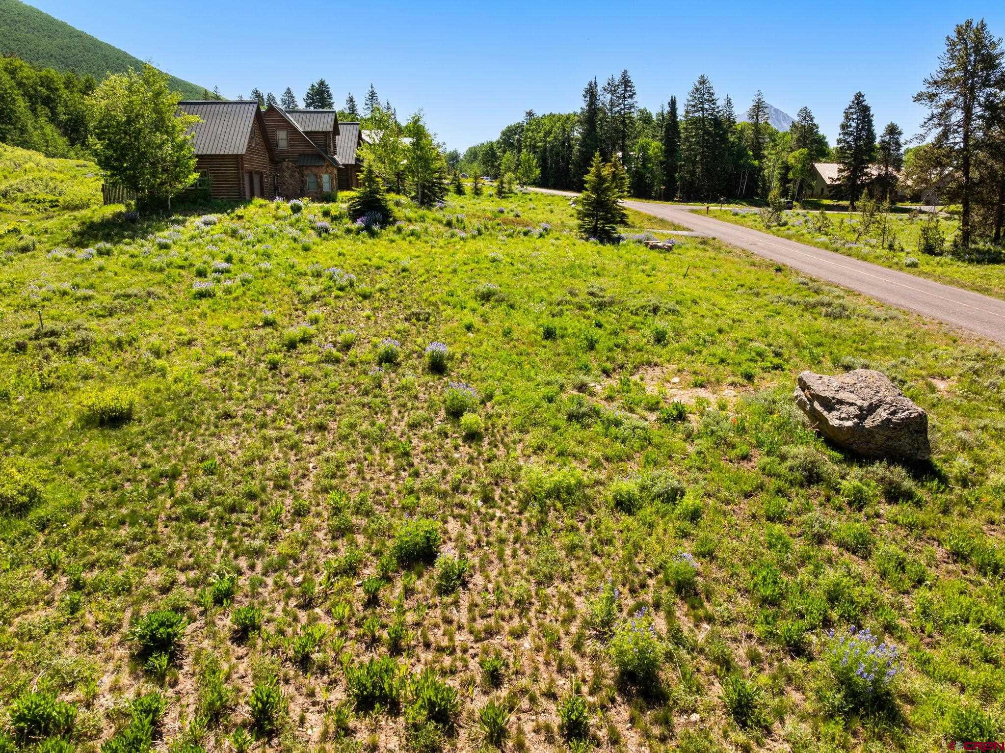 555 Meadow Drive Crested Butte, CO 81224 - Photo 6 of 24 a view of a field of grass and trees