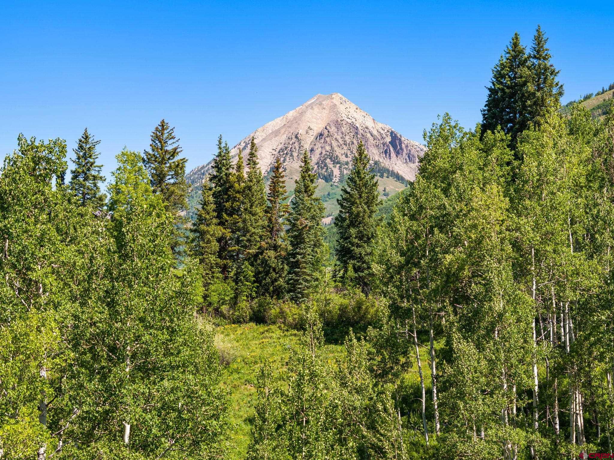 555 Meadow Drive Crested Butte, CO 81224 - Photo 7 of 24 a view of a large yard with lots of bushes