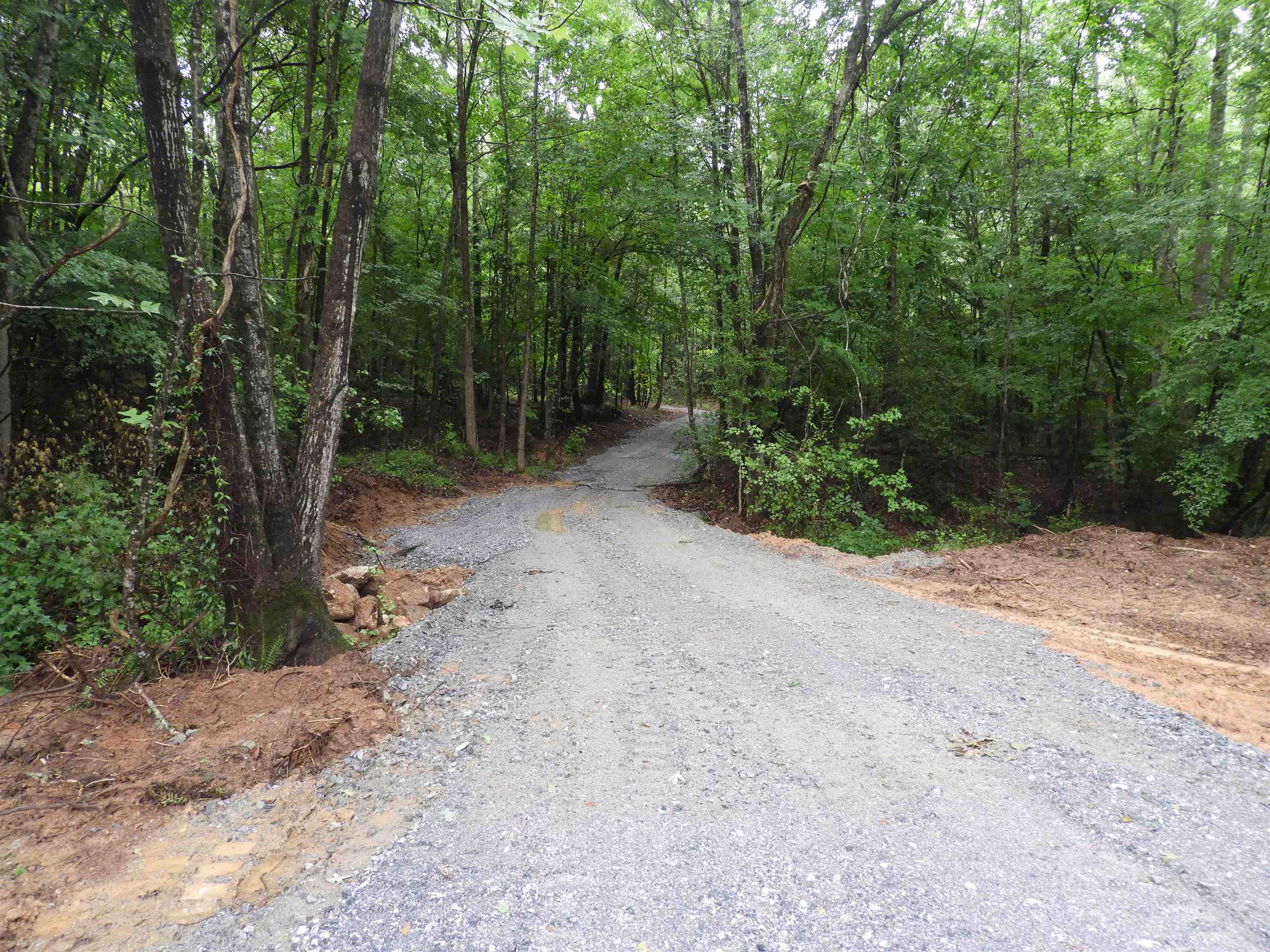2109-tract D 2109-tract D Riddle Road Pauline, SC 29374 - Photo 3 of 42