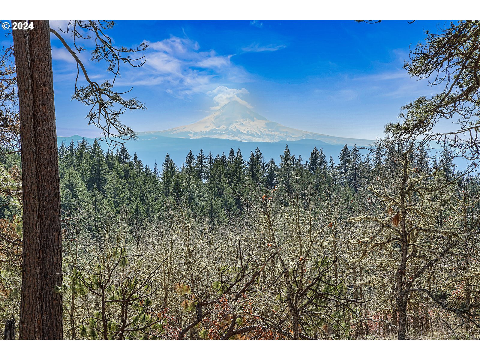 Secluded Way, Unit 2 Lyle, WA 98635 - Photo 1 of 15 a view of a city