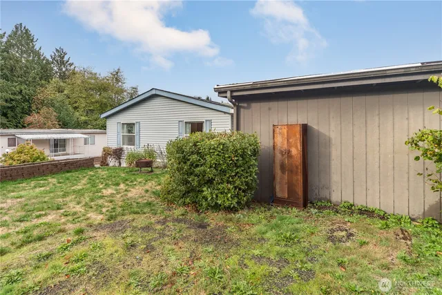 a backyard of a house with plants and large tree