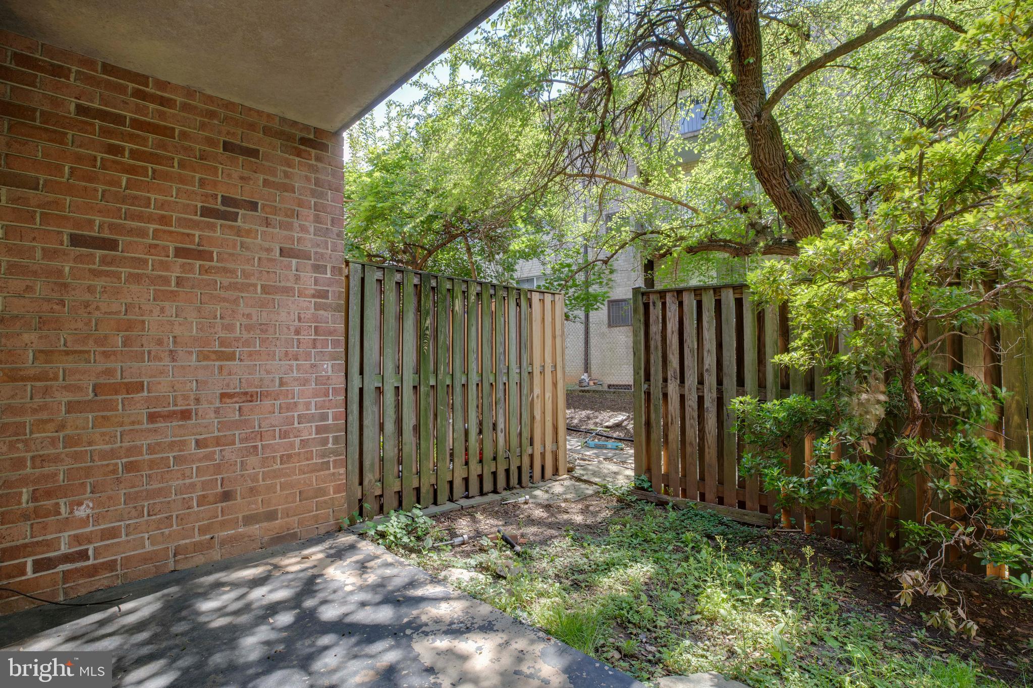3382 Hewitt Avenue, Unit 102 Silver Spring, MD 20906 - Photo 15 of 22 a view of backyard with plants and trees