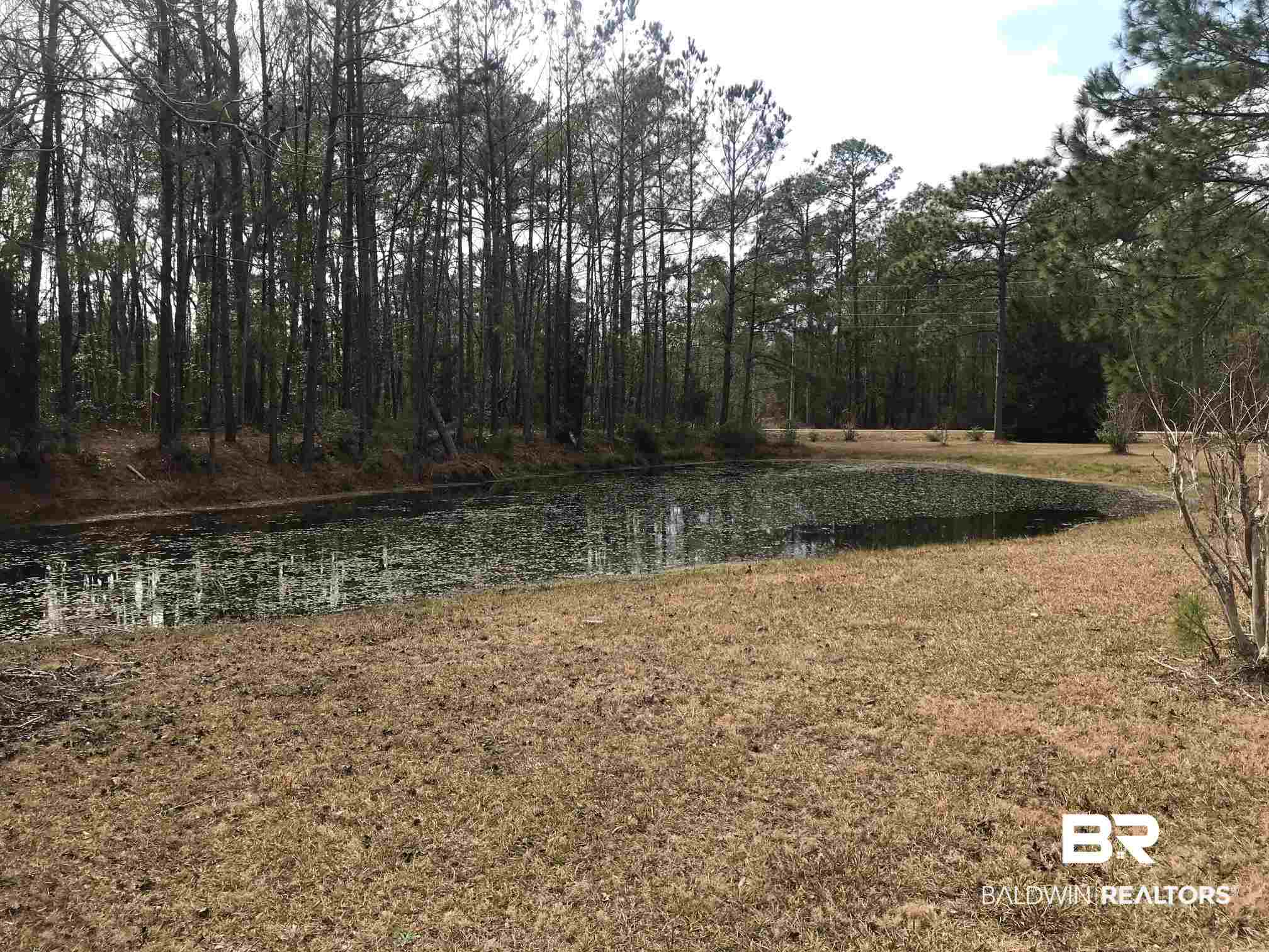 18618 Twin Beech Road South Fairhope, AL 36532 - Photo 5 of 26