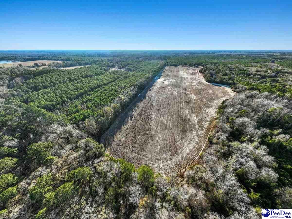 5 Off Flinn Road Manning, SC 29102 - Photo 6 of 13 Gallery Image 6