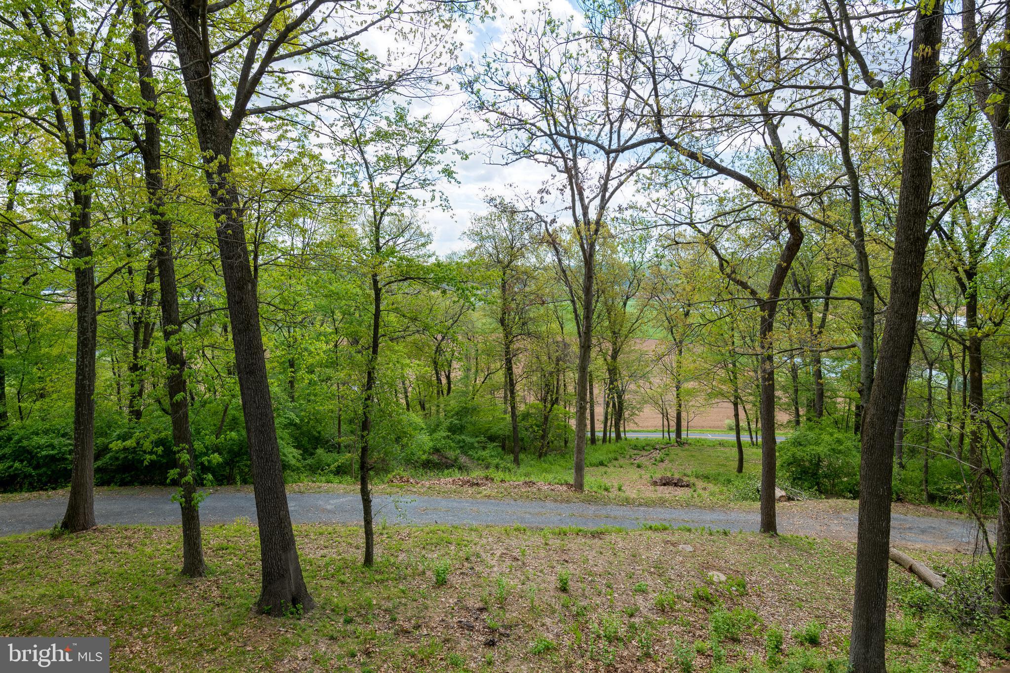 340 Forest Road Denver, PA 17517 - Photo 5 of 68