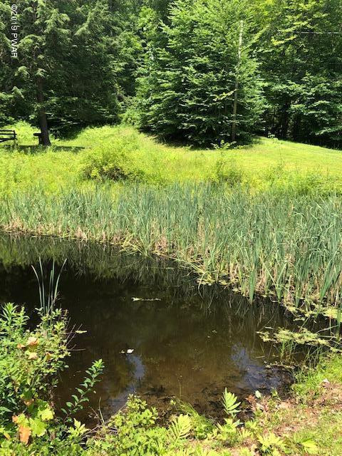 161 Acid Factory Road Long Eddy, NY 12760 - Photo 10 of 21