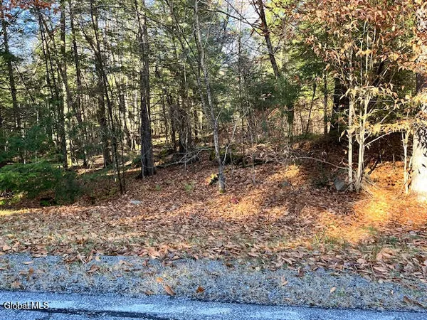 $99,900 | L5.322 South L5.322 S Trout Lake Road, Diamond Point, NY 12824