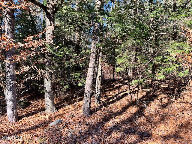 L5.322 South L5.322 S Trout Lake Road Diamond Point, NY 12824 - Photo 2 of 8 unnamed (1)