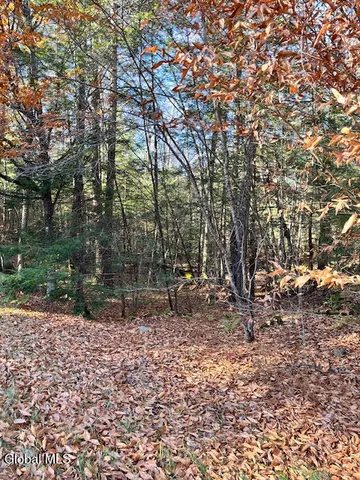 $99,900 | L5.322 South L5.322 S Trout Lake Road, Diamond Point, NY 12824