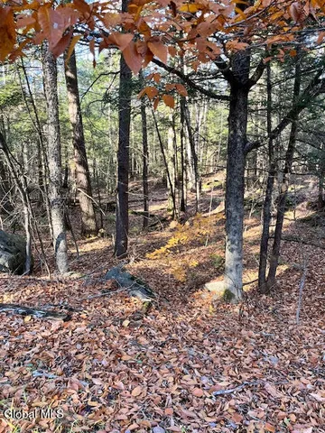 $99,900 | L5.322 South L5.322 S Trout Lake Road, Diamond Point, NY 12824