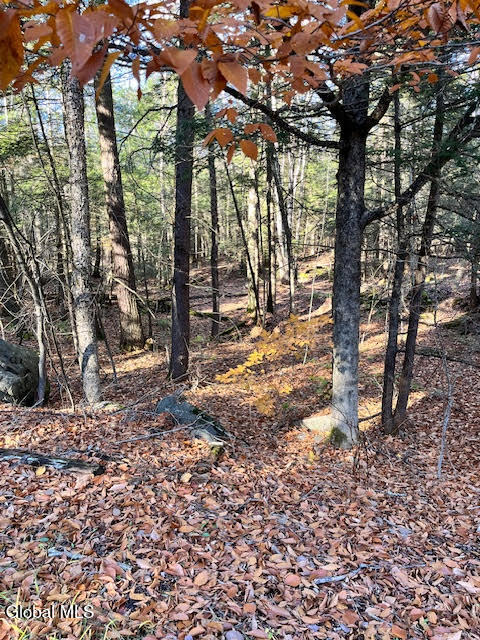L5.322 South L5.322 S Trout Lake Road Diamond Point, NY 12824 - Photo 4 of 8 unnamed (4)