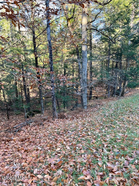 L5.322 South L5.322 S Trout Lake Road Diamond Point, NY 12824 - Photo 5 of 8 unnamed (6)