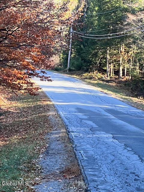 L5.322 South L5.322 S Trout Lake Road Diamond Point, NY 12824 - Photo 6 of 8 unnamed (7)