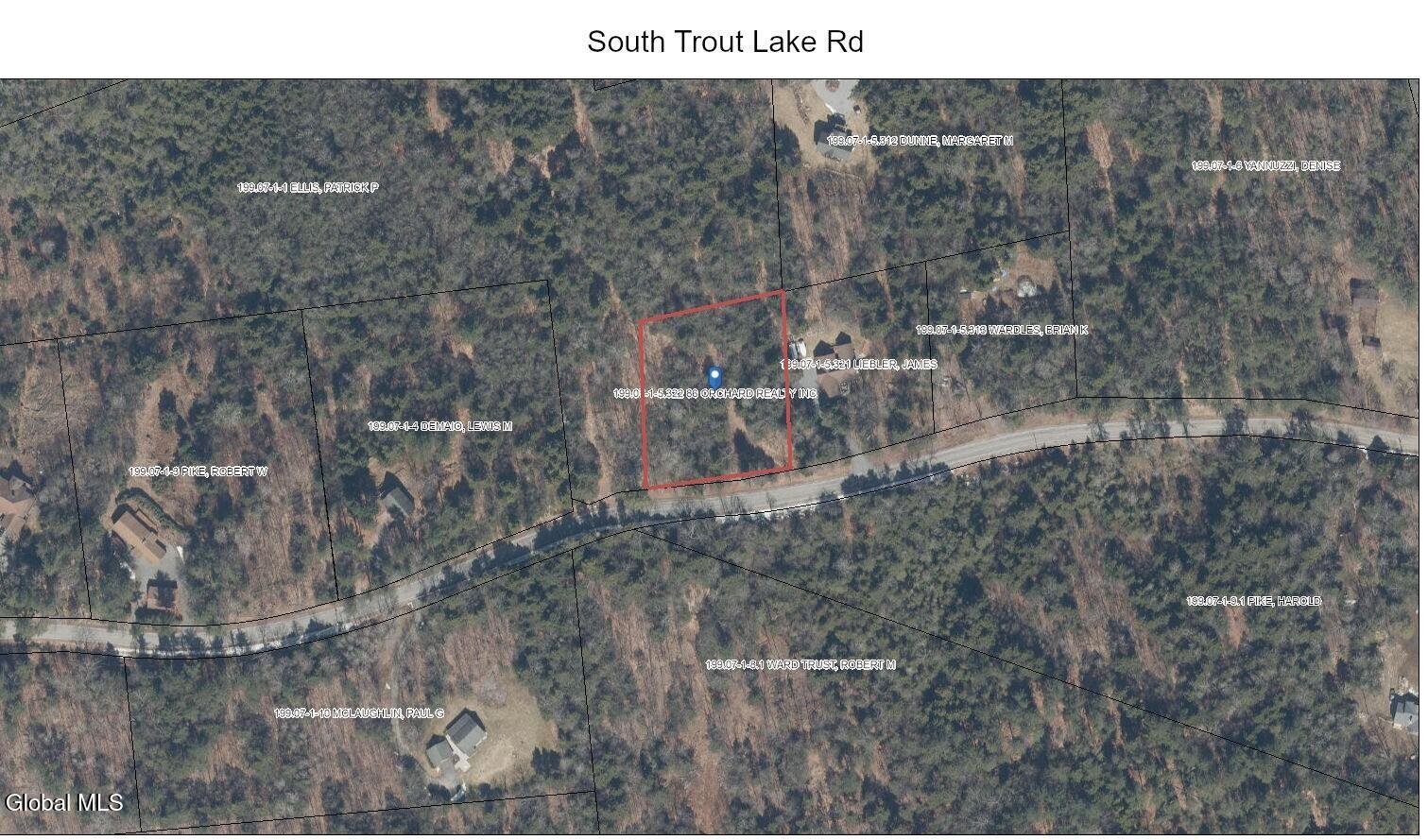 L5.322 South L5.322 S Trout Lake Road Diamond Point, NY 12824 - Photo 8 of 8 South Trout Lake Rd