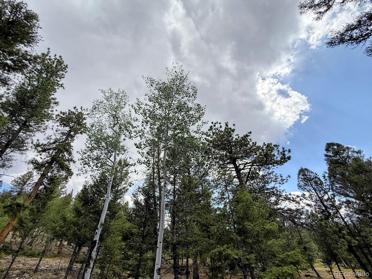 1789 Bellows Road Hartsel, CO 80449 - Photo 18 of 21