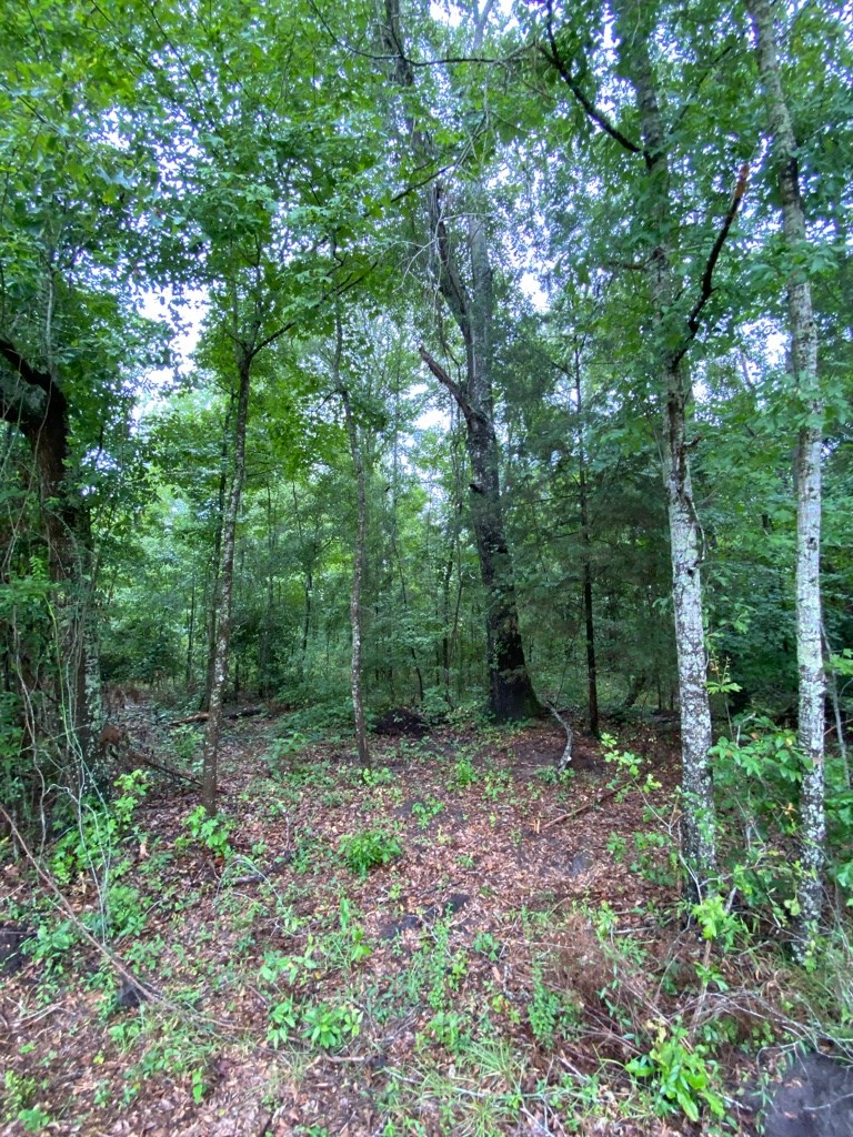 2242 Coot Adams Road Ashford, AL 36312 - Photo 29 of 39