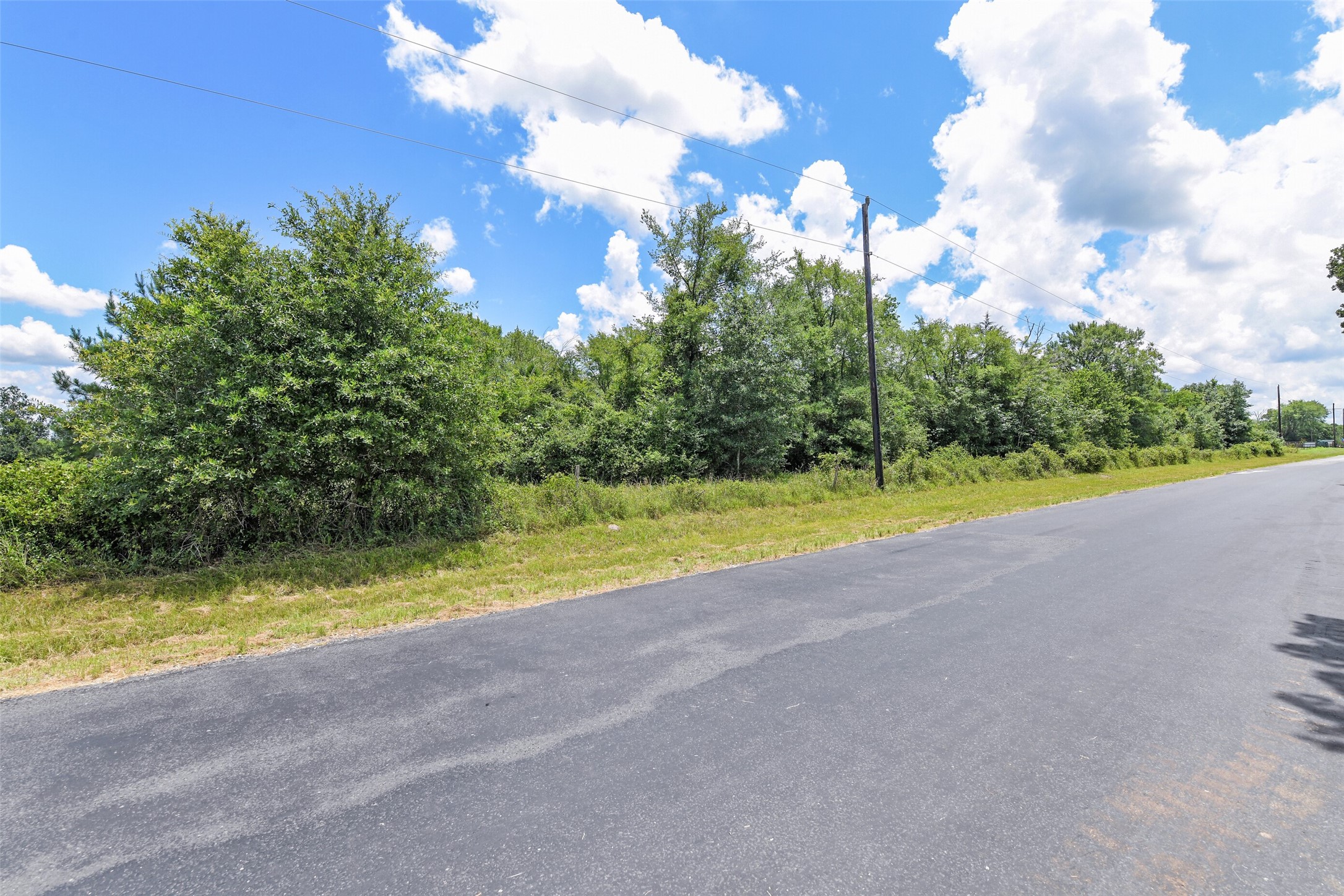 120 Wood Farm Road Huntsville, TX 77320 - Photo 11 of 13