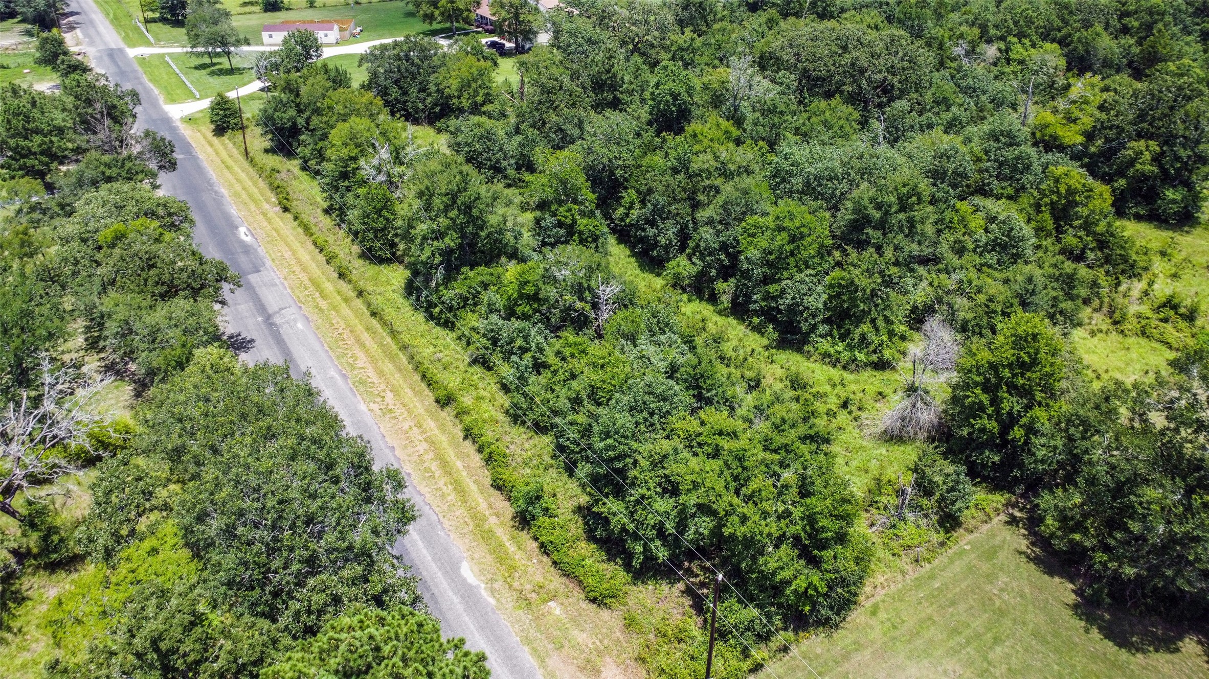 120 Wood Farm Road Huntsville, TX 77320 - Photo 6 of 13