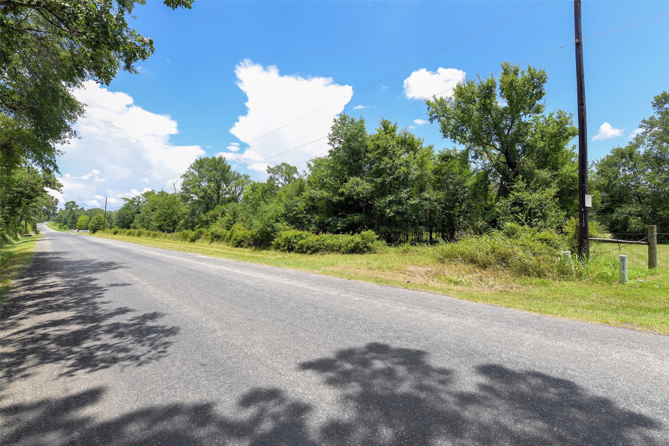 120 Wood Farm Road Huntsville, TX 77320 - Photo 9 of 13