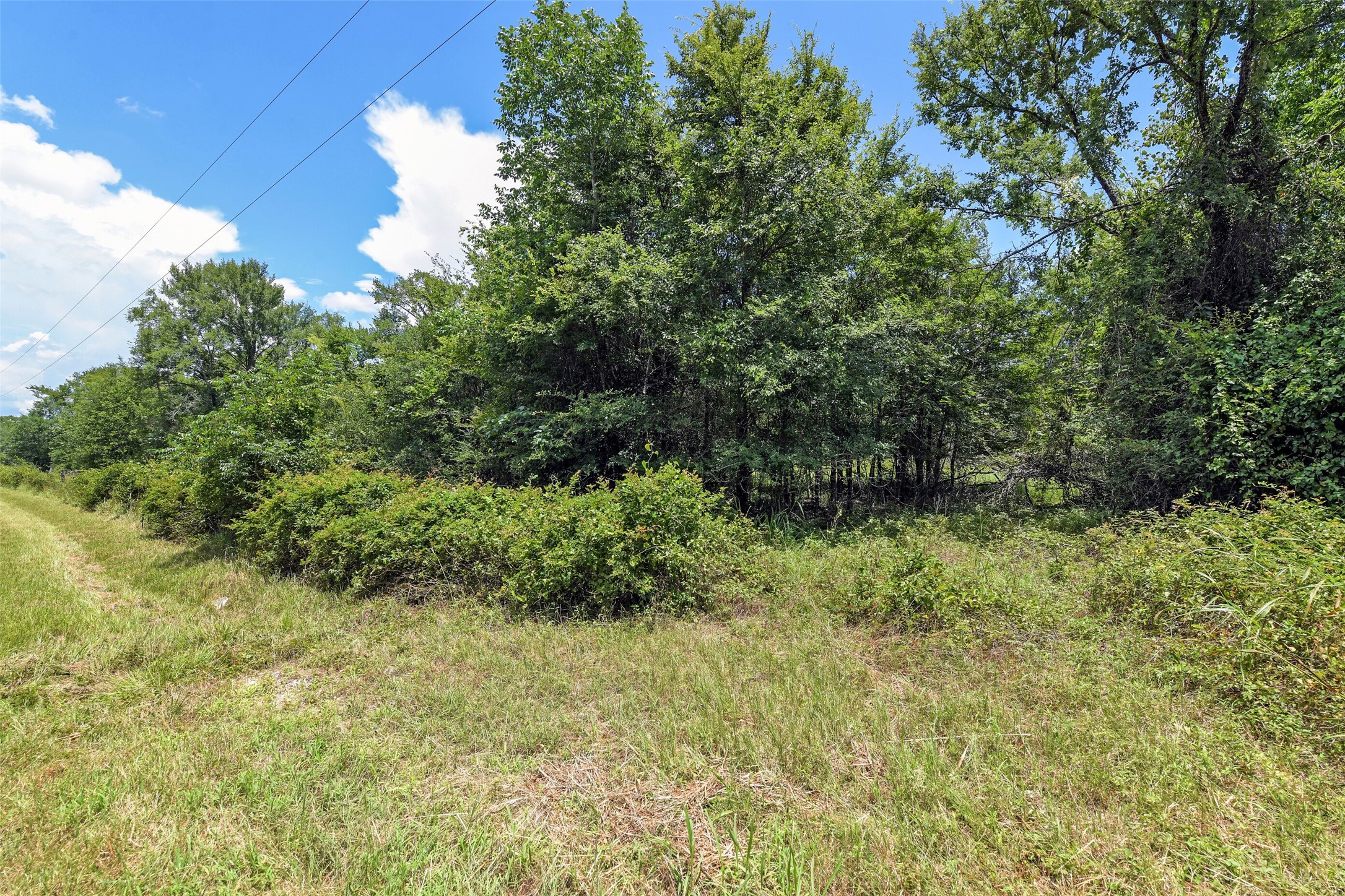 120 Wood Farm Road Huntsville, TX 77320 - Photo 10 of 13