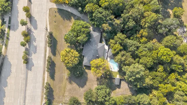 a close up of a flower pot