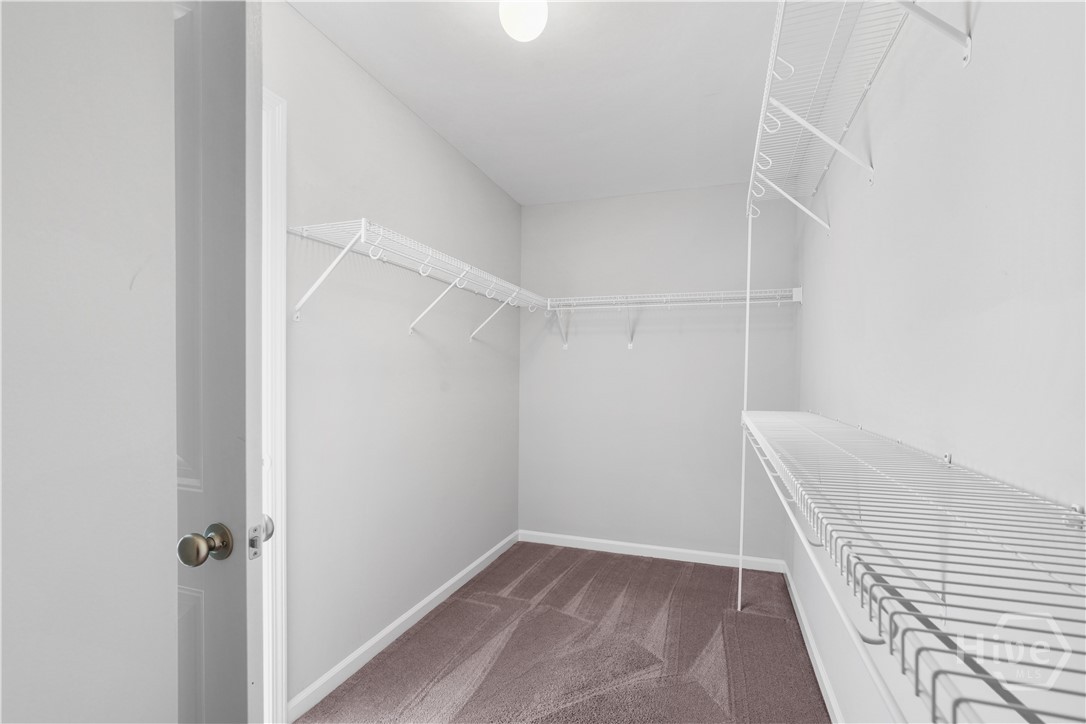 137 Spoonbill Circle Savannah, GA 31405 - Photo 46 of 53