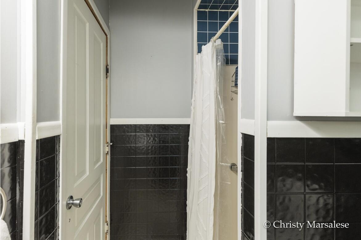 917 South Bridge Street Belding, MI 48809 - Photo 29 of 69 IMG_5701