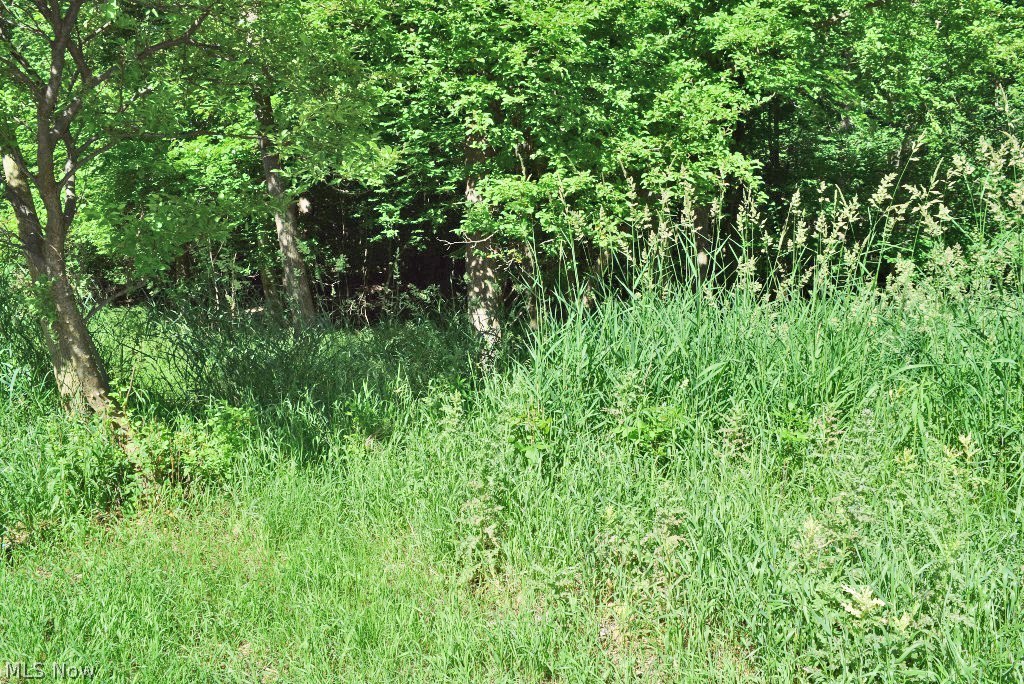 Sl Lander Road, Unit 33 Cleveland, OH 44124 - Photo 1 of 2