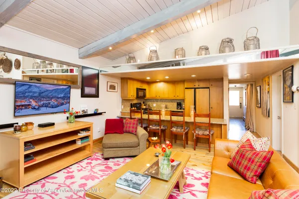 $30,000 | 700 South Ute Avenue, Unit 210, Aspen, CO 81611