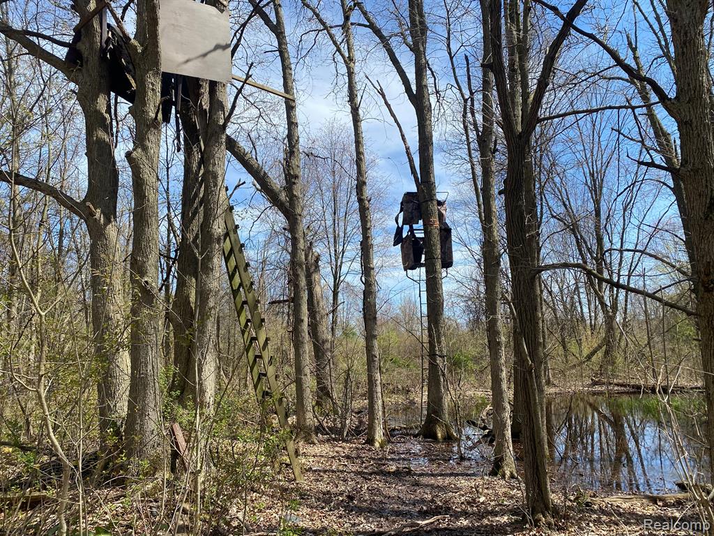 0 West Rose Center Road Holly, MI 48442 - Photo 2 of 7