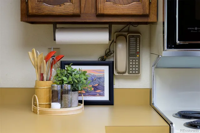 a view of a potted plant on a counter