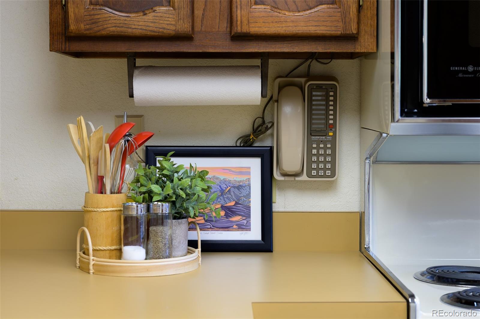 300 Kings Crossing Road, Unit B3 Winter Park, CO 80482 - Photo 11 of 38 a view of a potted plant on a counter