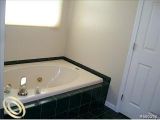 18586 Tipsico Lake Road Fenton, MI 48430 - Photo 8 of 23 Jetted Tub/ Master Bath!